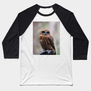 Southern Boobook Owl Baseball T-Shirt